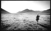 JLA walking in tundra