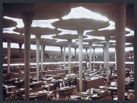 F.L. Wright, Uffici e laboratori, 1936–50, azienda Johnson Wax, Racine, Wisconsin