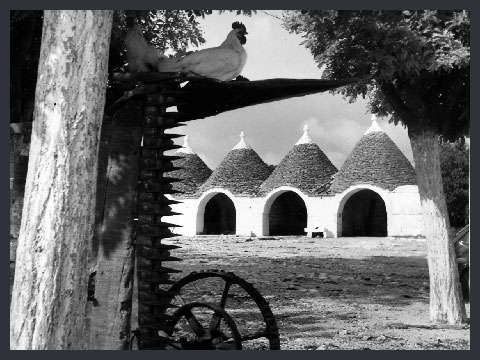 Puglia Fattoria con stalla [Agno di Alberobello, Canale di Pirro, Masseria Calmerio]