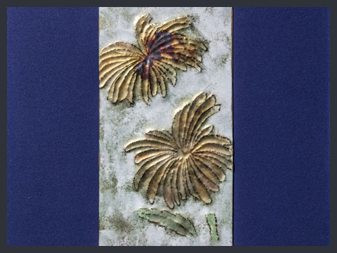 Colori. Fiori d'oro 1969 (foto di U. Ferro, 2016)
