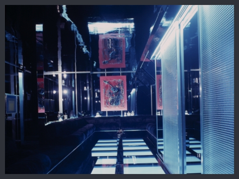 Nanda Vigo, casa del collezionista Fedeli, Milano, 1973