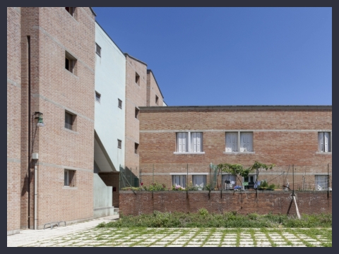 Fronte sud, case a schiera con giardini recintati, 2012