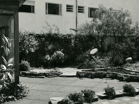 4. Giardino residenziale, Uruguay, anni ’50