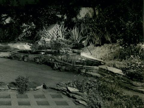 5. Giardino residenziale, Uruguay, anni ’50