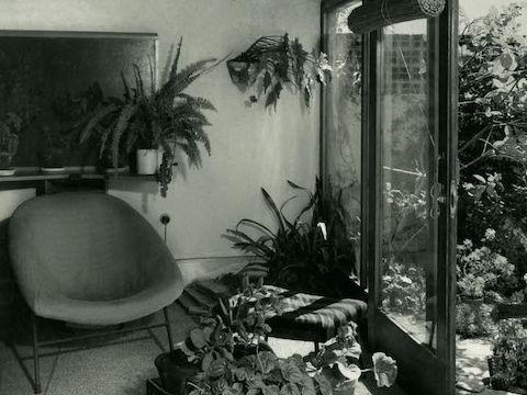 6. Giardino residenziale, Uruguay, anni ’50