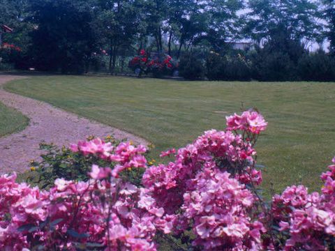 19. Giardino di F. Brandolin, anni ’80