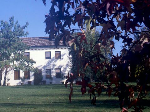 22. Giardino villa dell'arch. L. Gemin, 1986-88