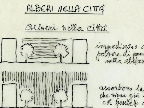 23. Alberi nella città, 1994