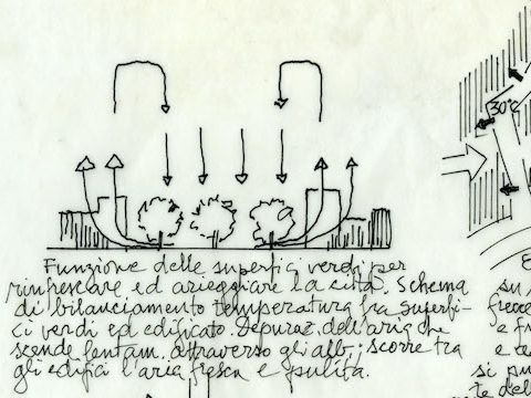 24. Alberi nella città, 1994