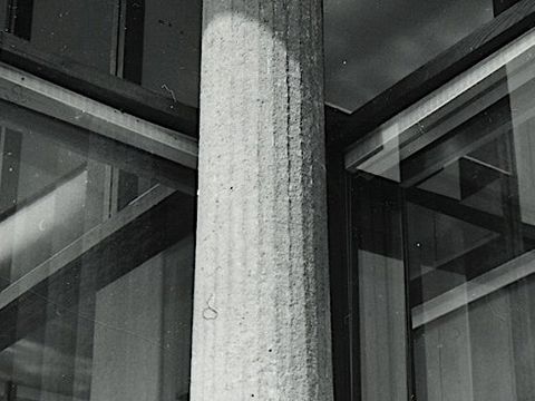 20. Dettaglio, 1965