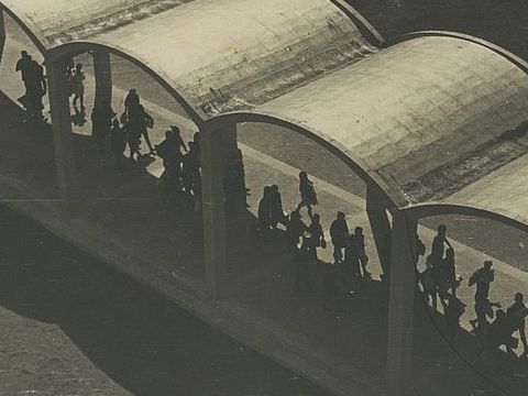 20. Vista dall'alto delle volte del portico, s.d. 
