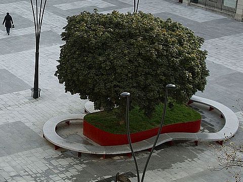 19. Dettaglio del sistema di seduta che abbraccia un’aiuola