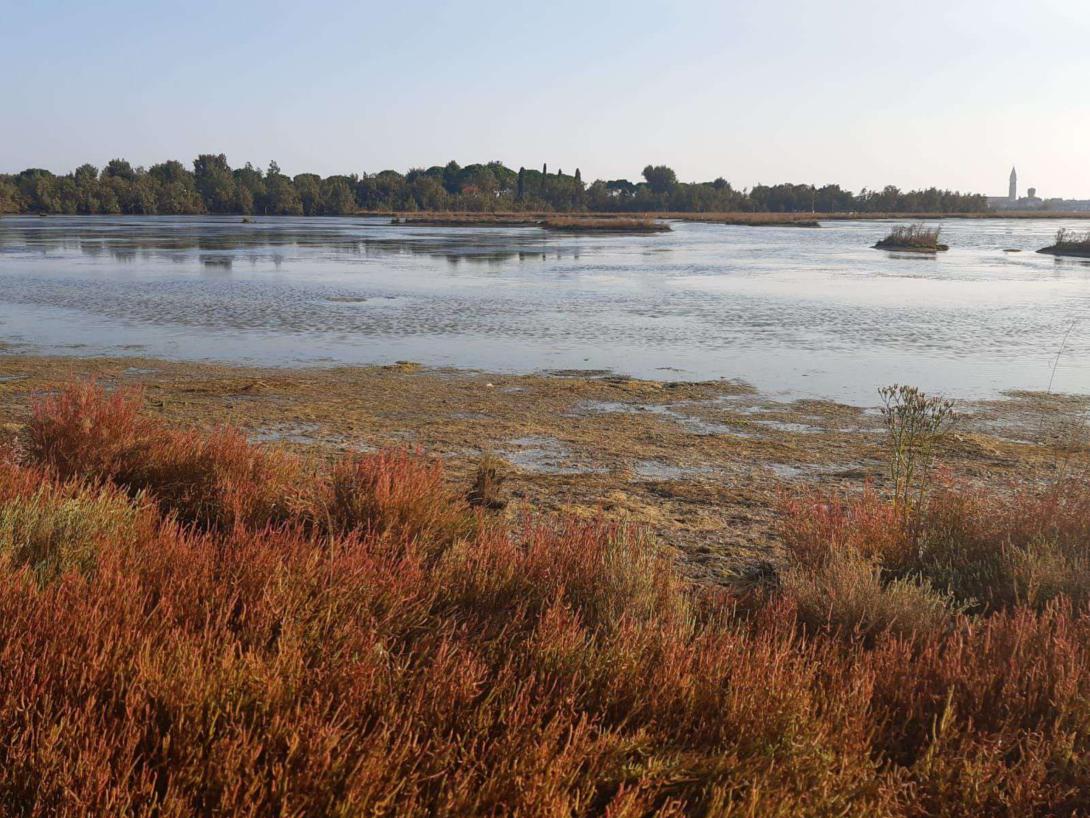 Laguna di Venezia