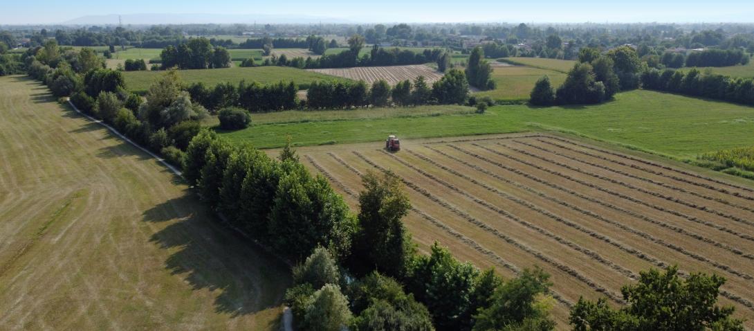 Smart Meadows: ricerca e comunità insieme per la tutela dei prati stabili