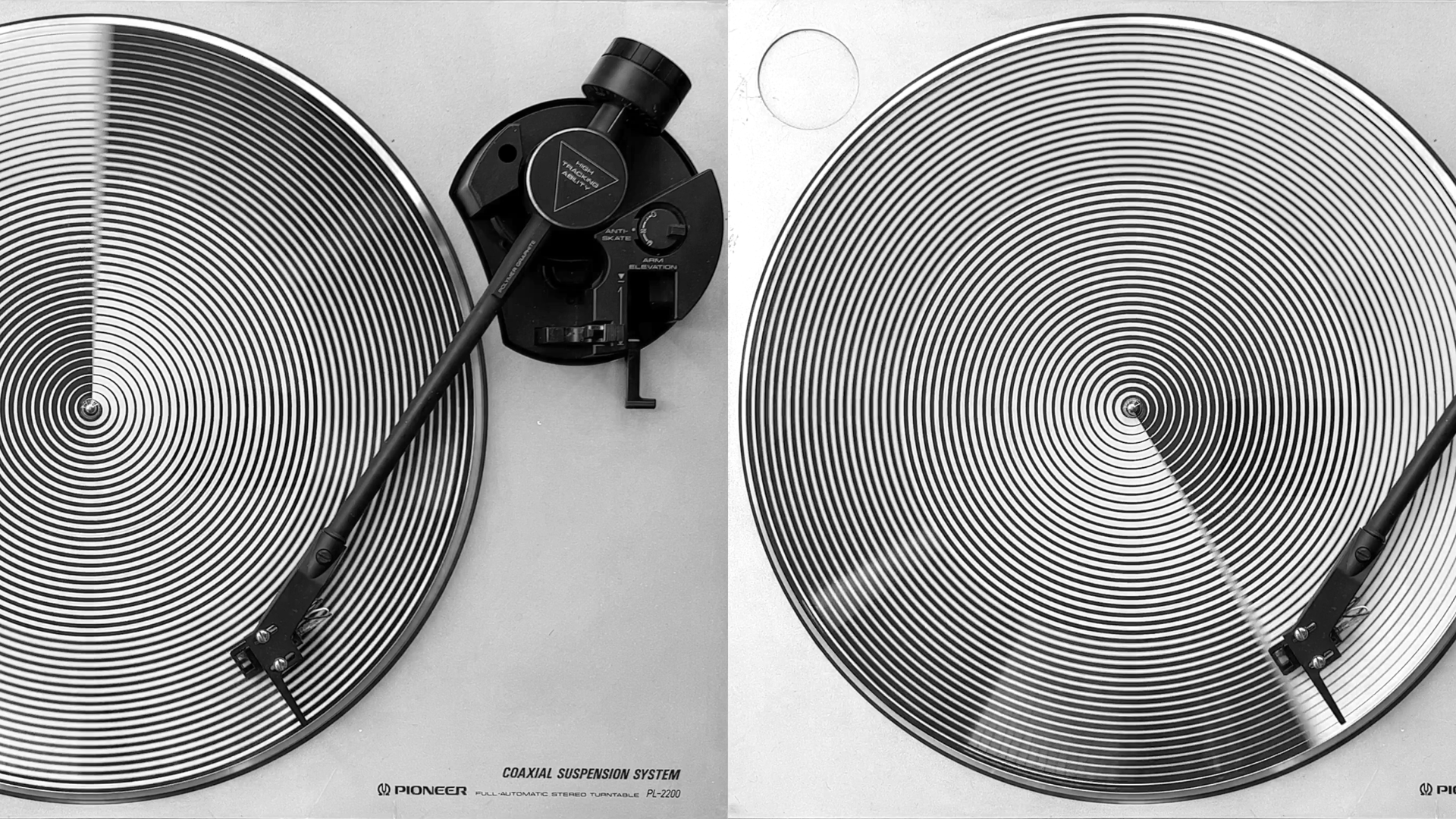 Apollonio-Bottin-COMP3 - Francesco Bergamo