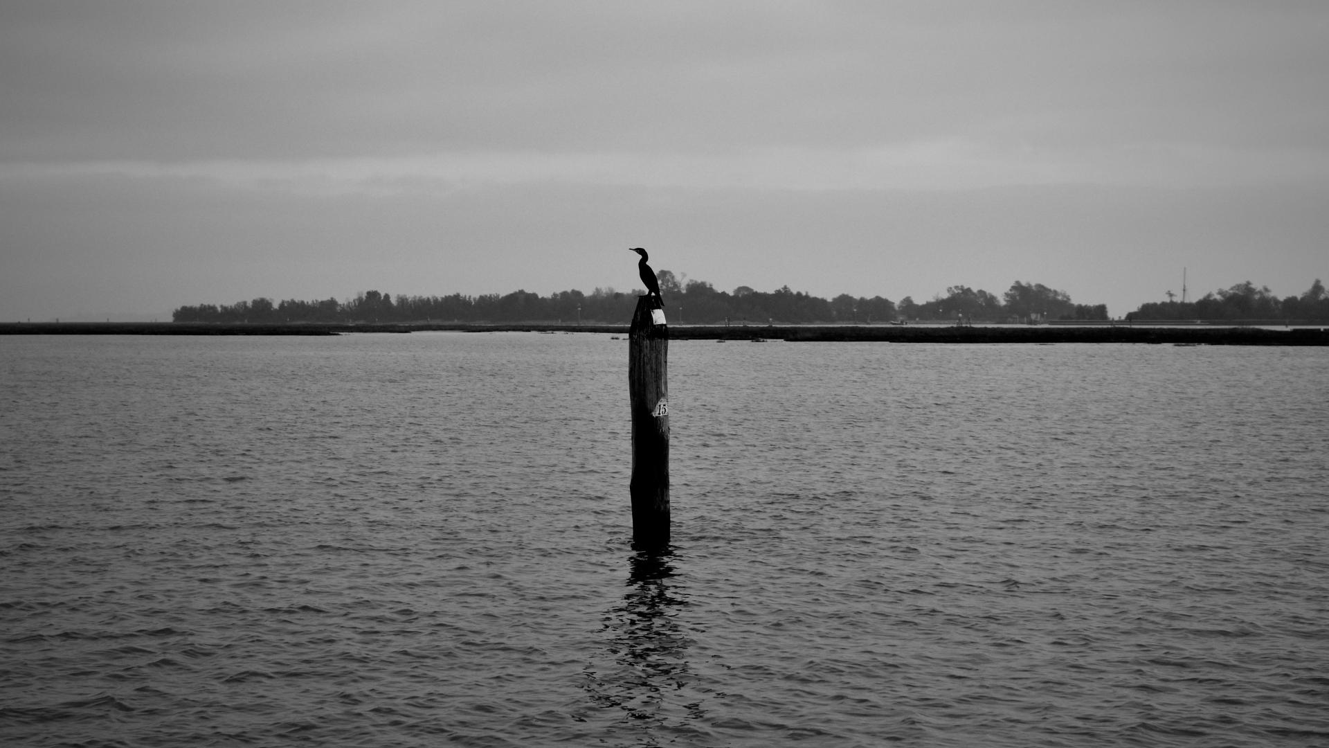 Laguna di Venezia