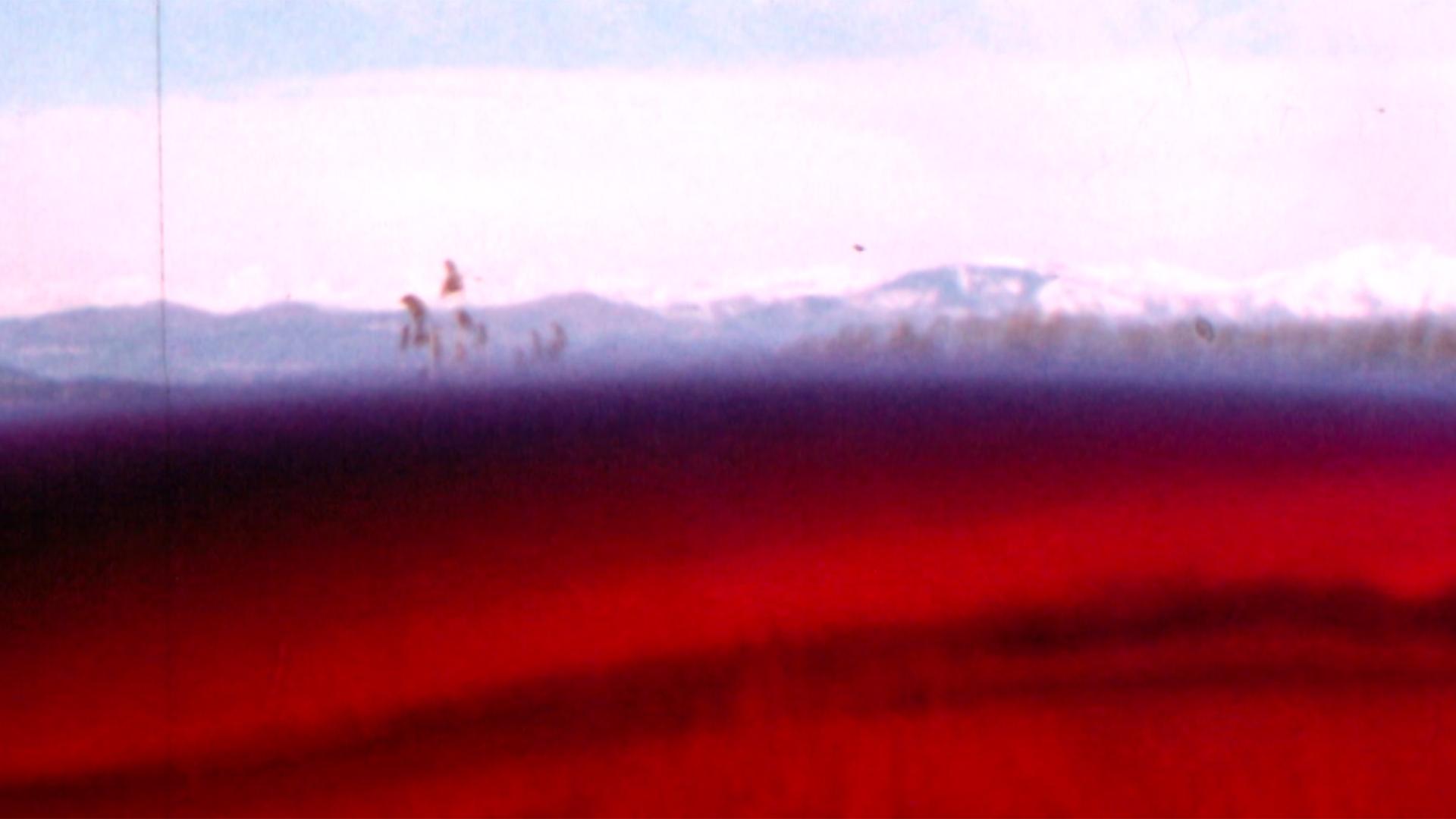 Gianfranco Brebbia, Still 2