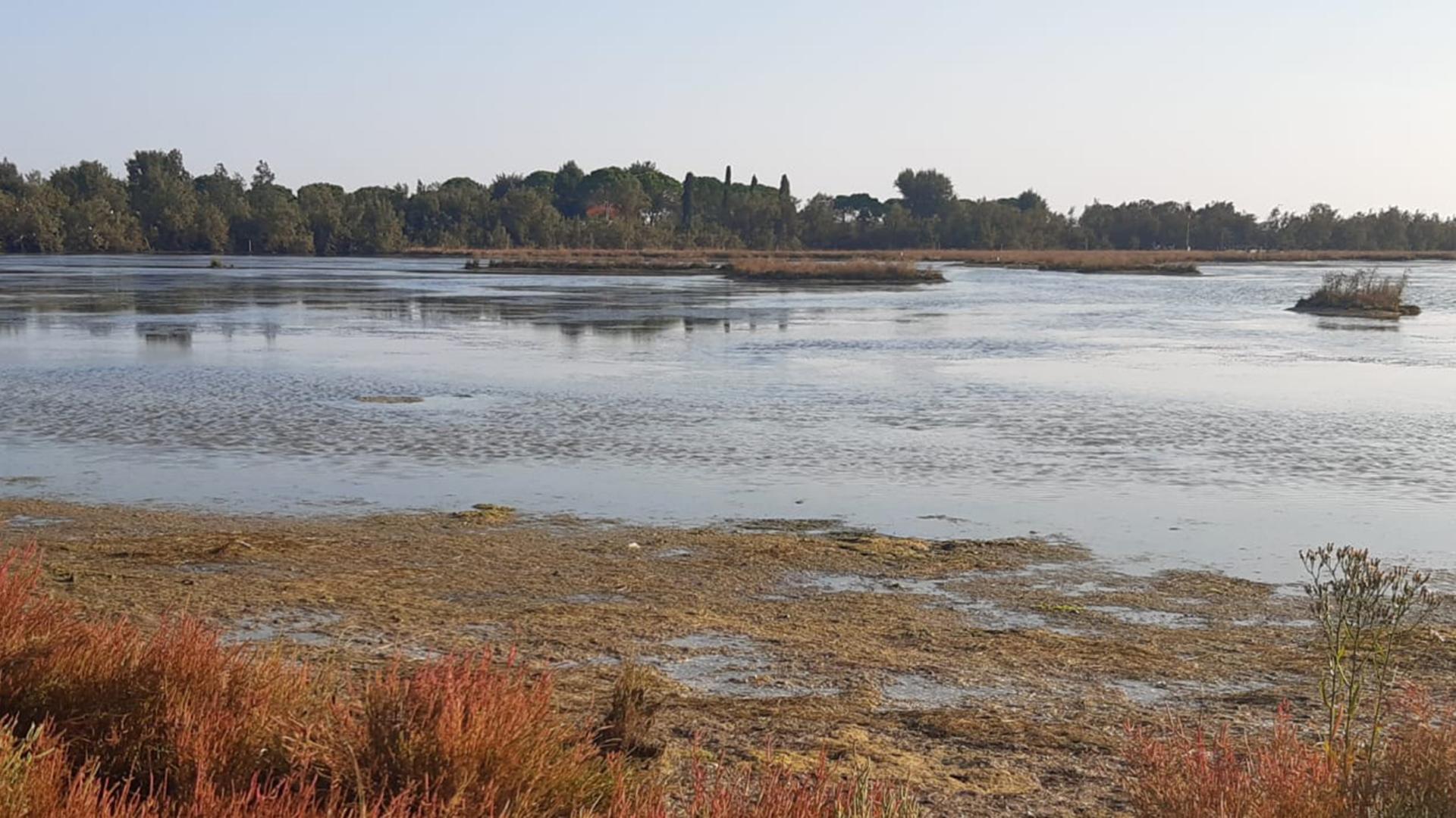 Laguna veneta