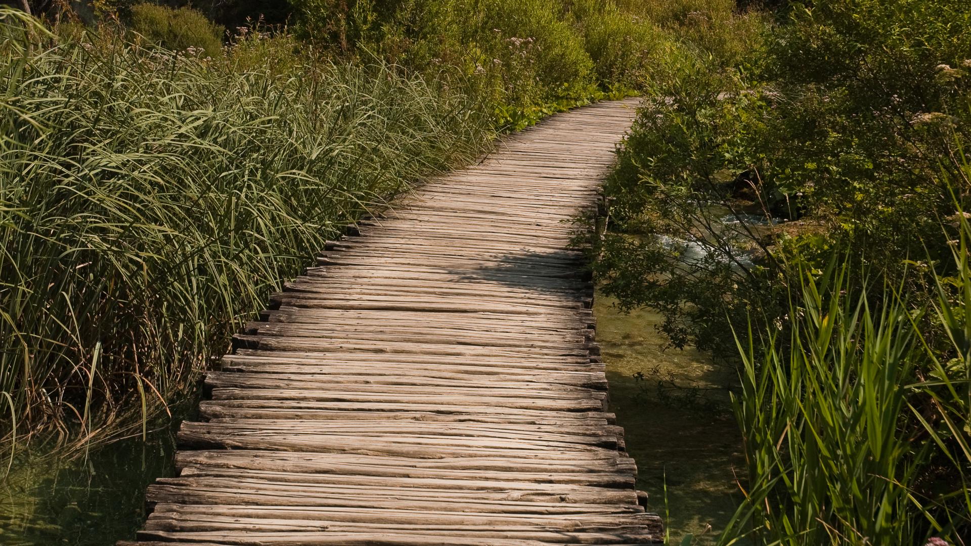 Wood_way_in_plitvicka-MariaAntonia-Barucco
