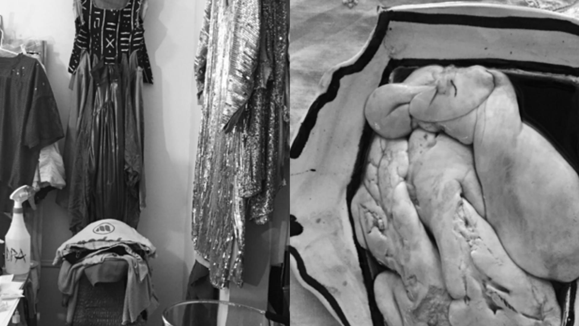 Domestic Performance Agency - 19 marzo