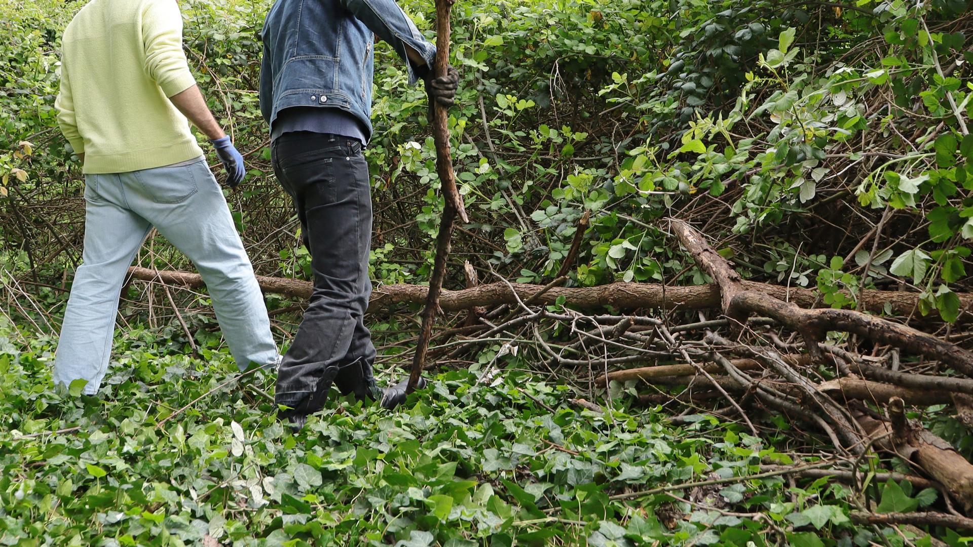 Dettaglio di persone che camminano in un bosco