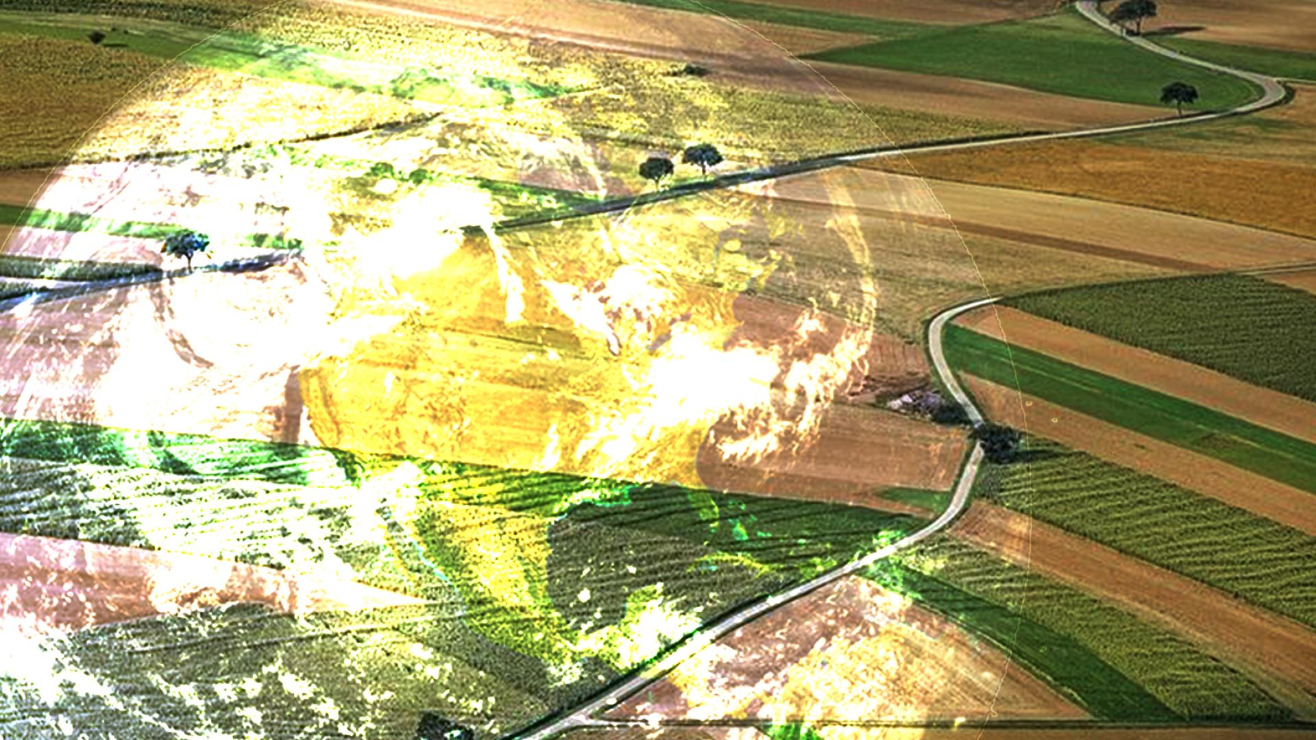 food for earth