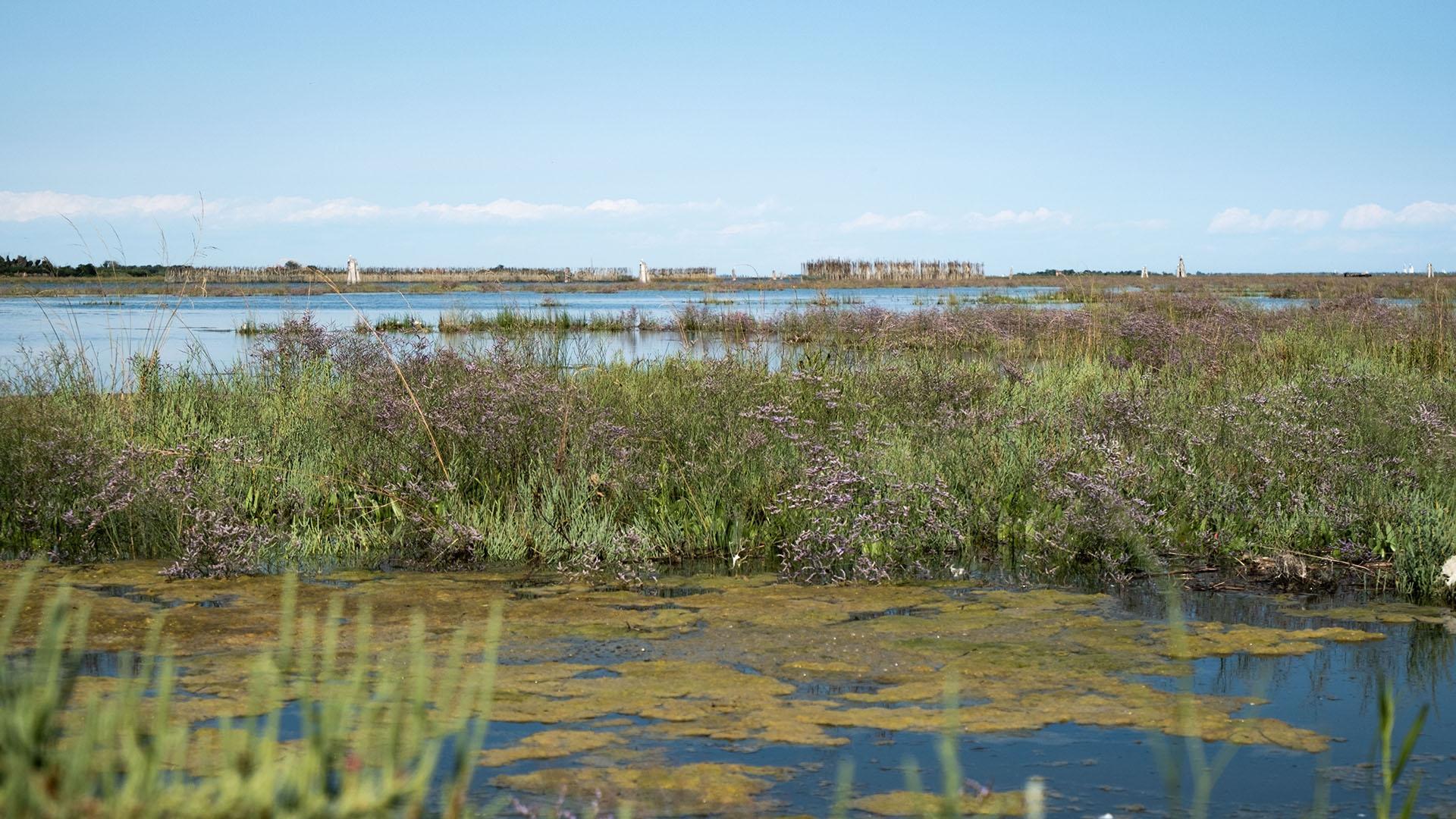 Laguna di Venezia