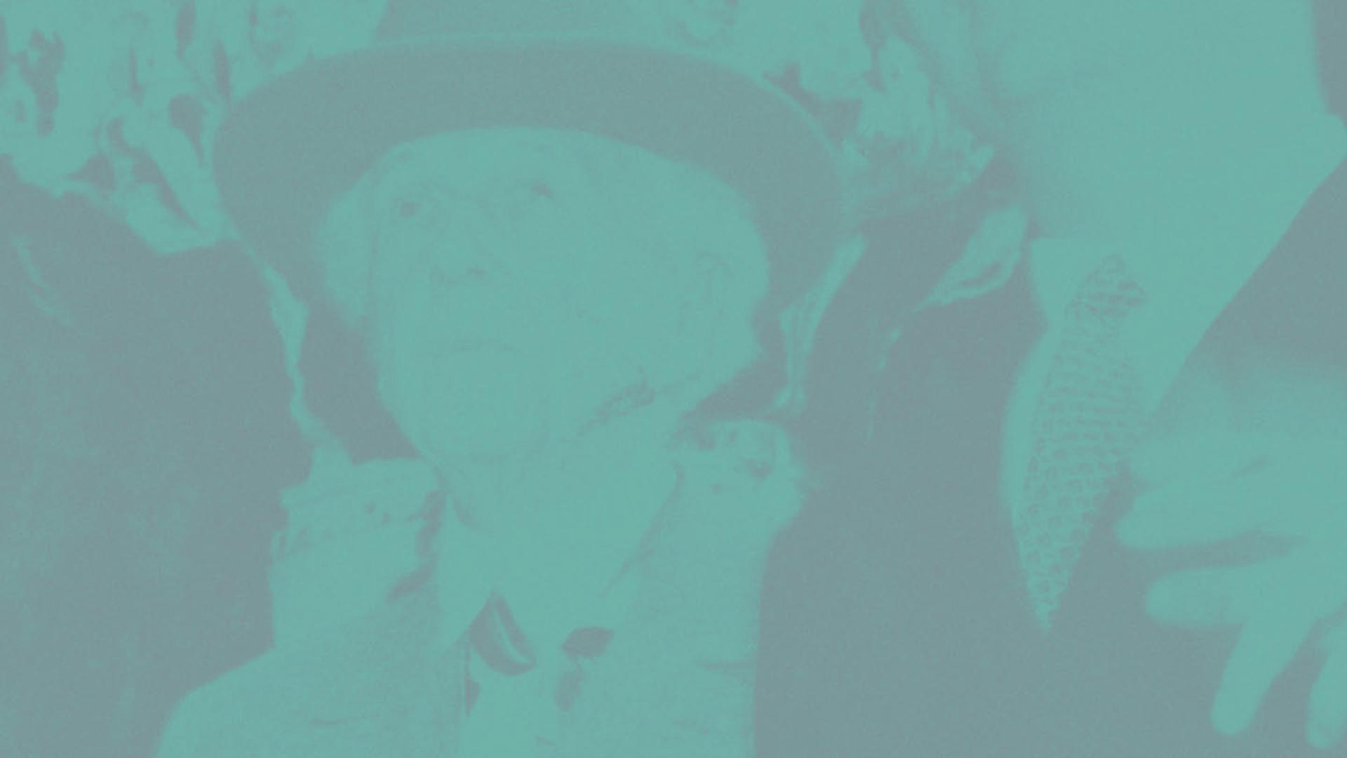 EDU_centenario_banner-FLW.