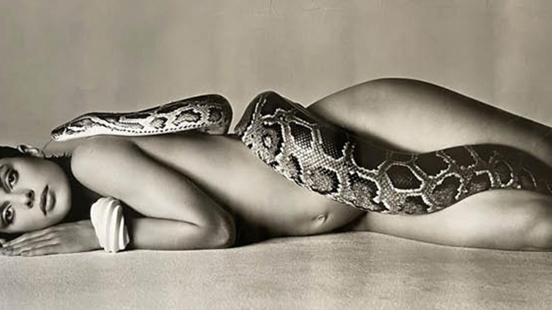 L'archivio fotografico