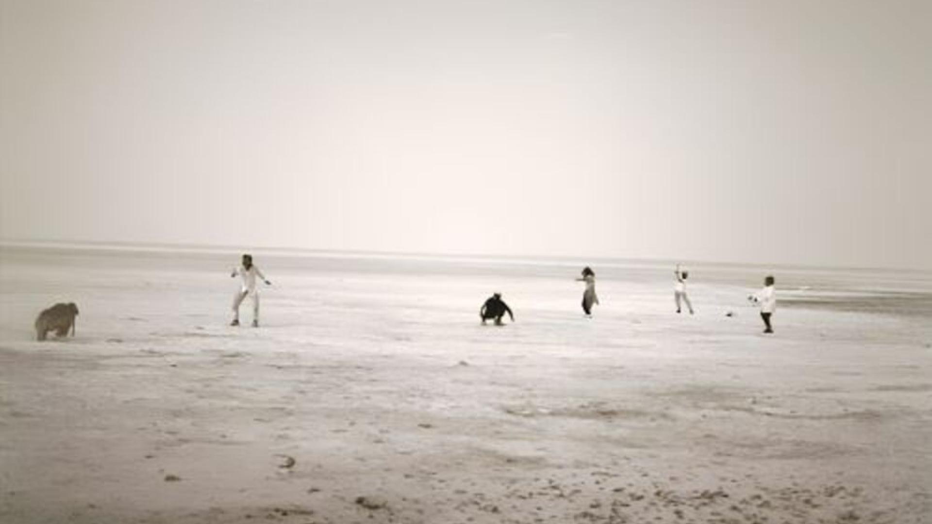 The Desert Project (1998), Peter Eckersall