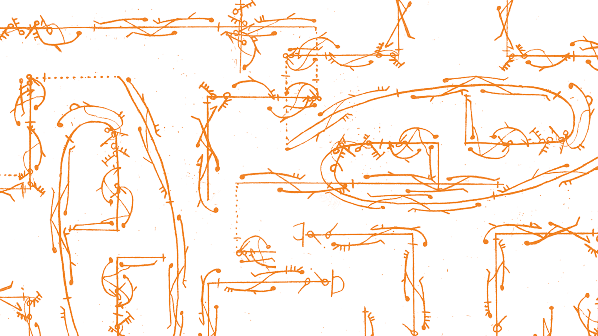 Disegno stilizzato con tratto arancio su fondo bianco