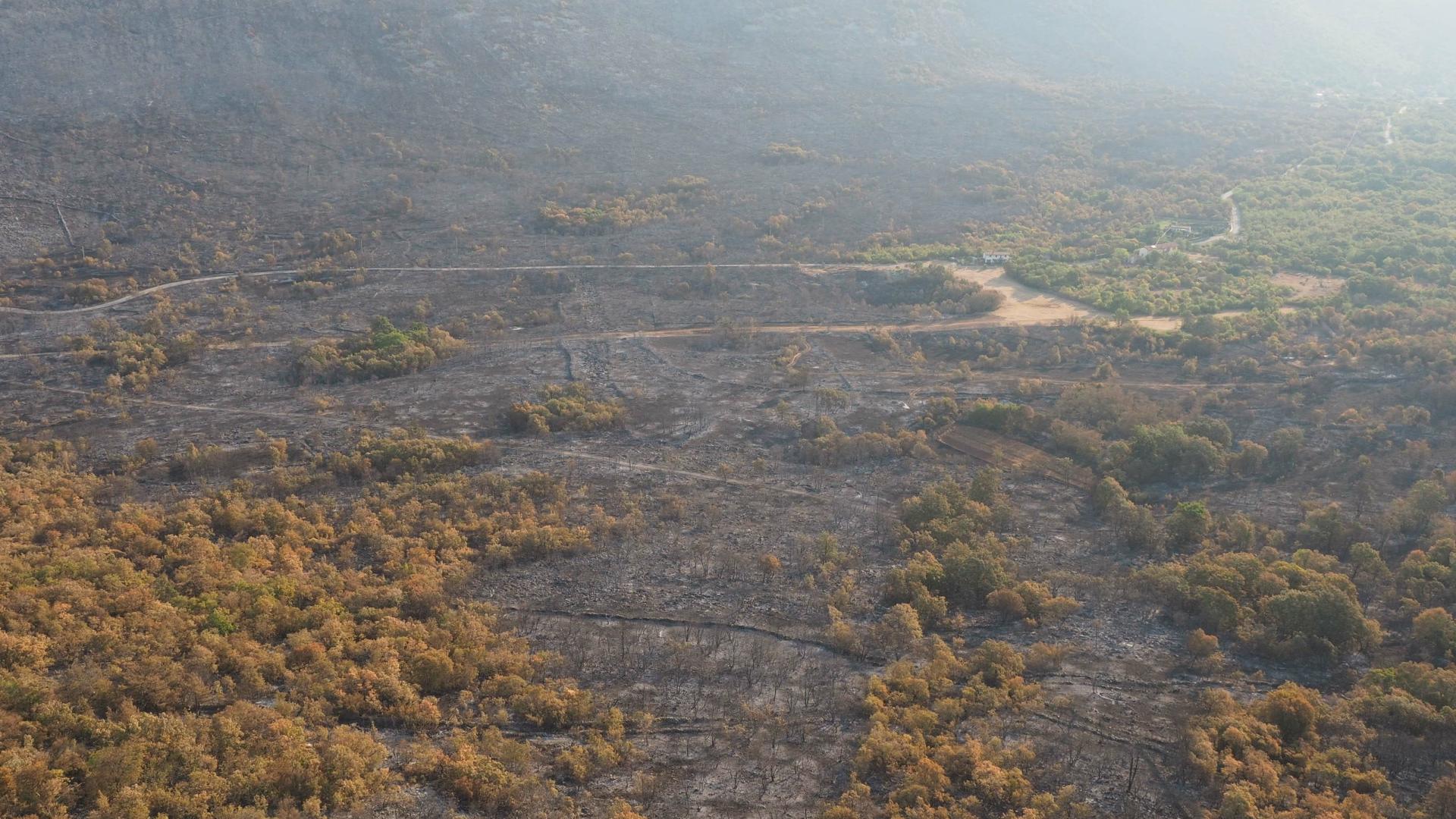 Adattamento e incendi