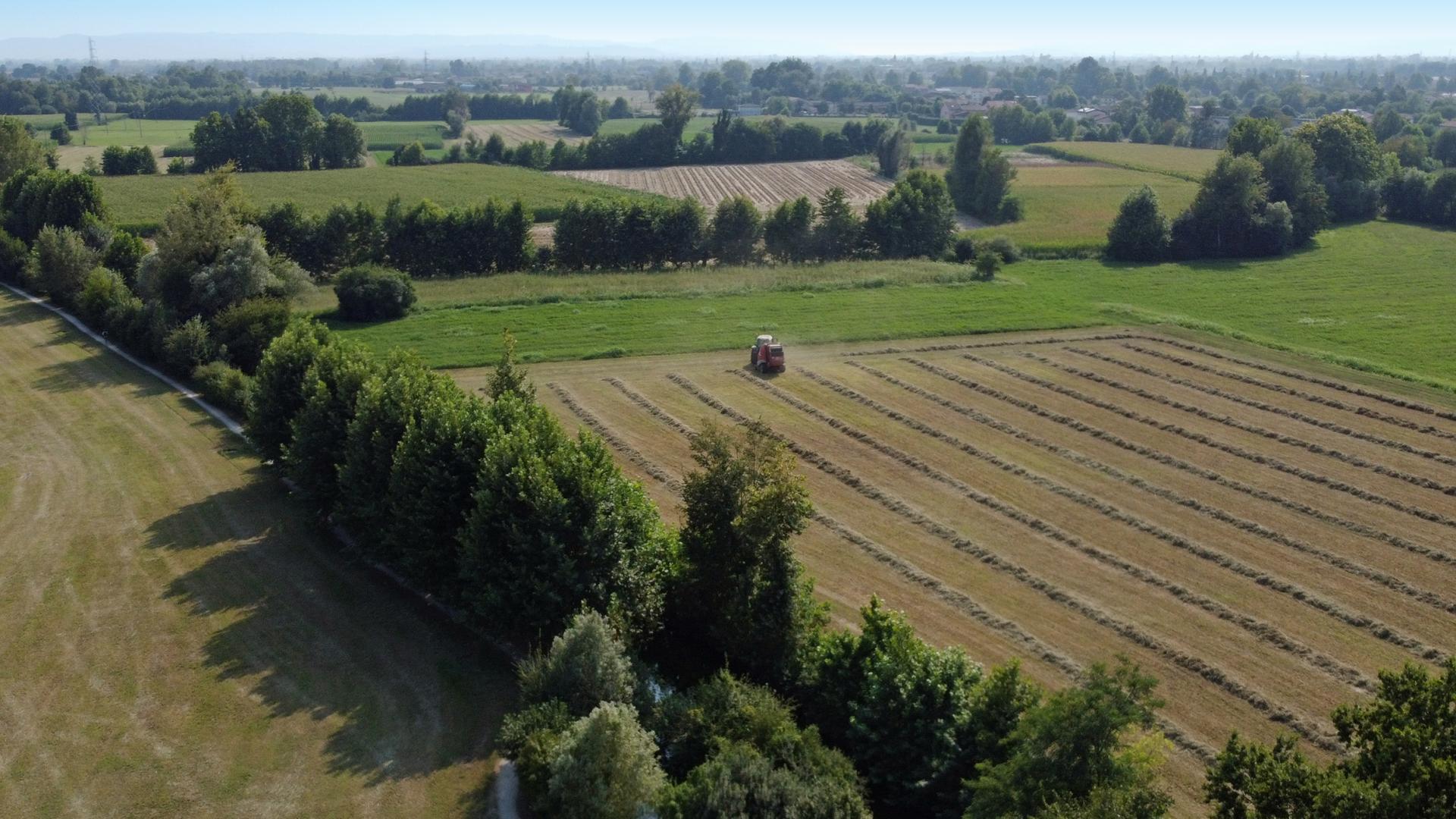 Smart Meadows: ricerca e comunità