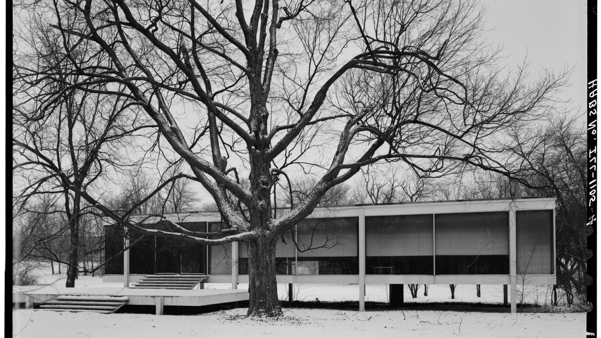 The Edith Farnsworth house