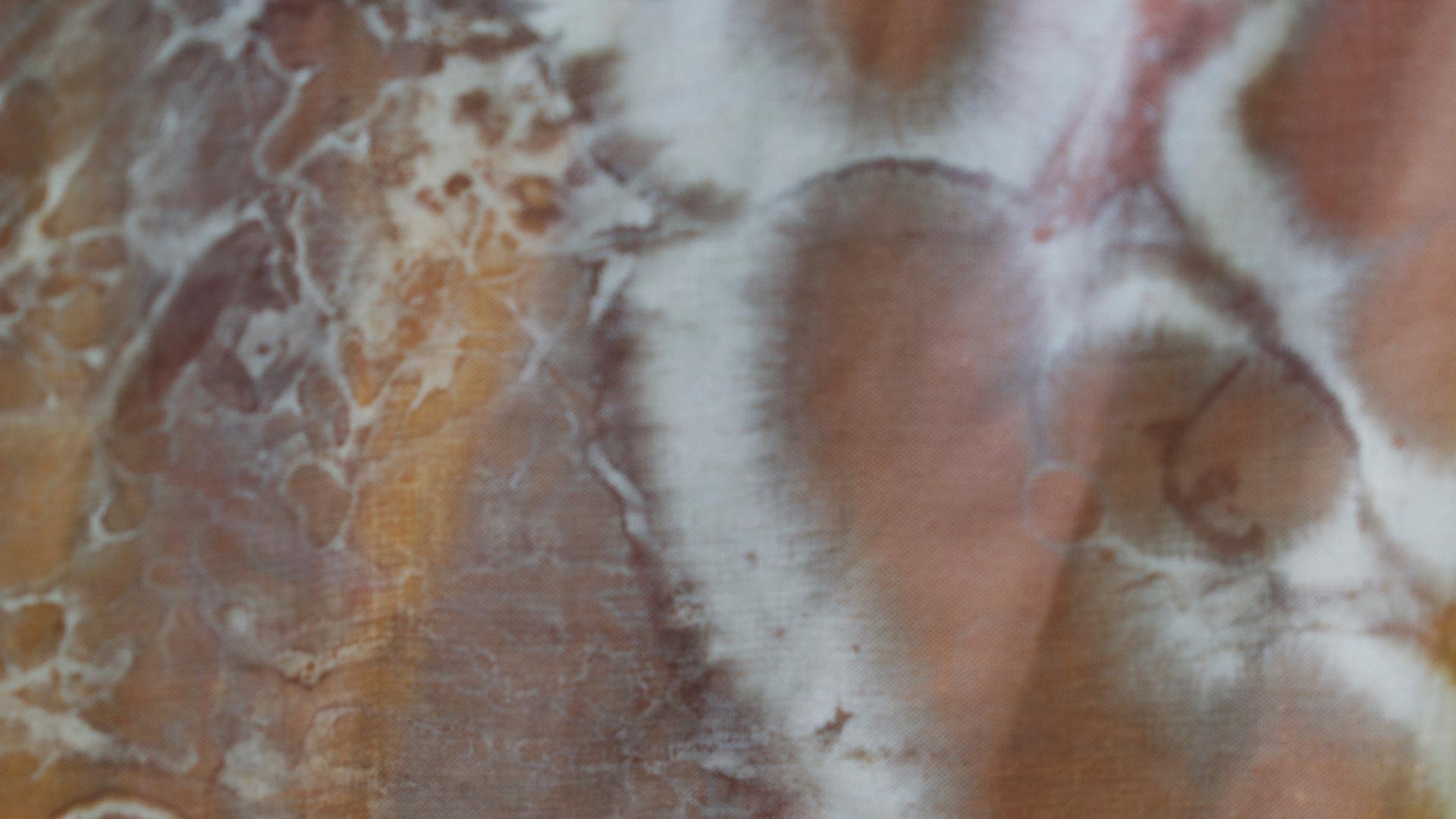 Materials & bioregioning in fashion