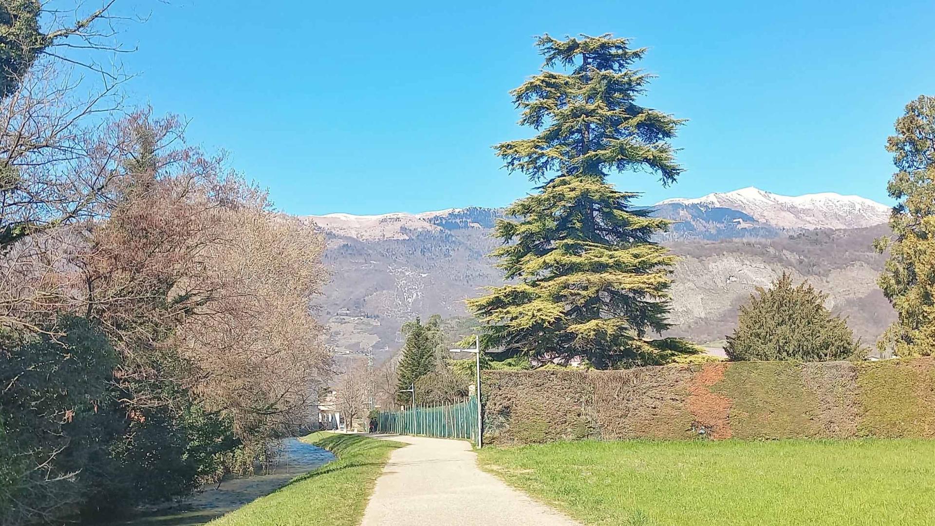 Stile libero