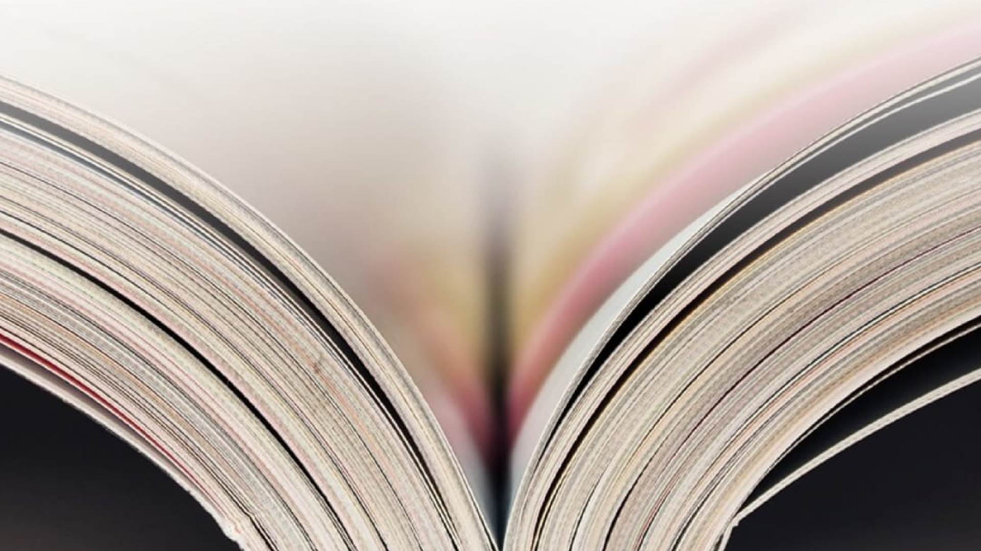 Il libro