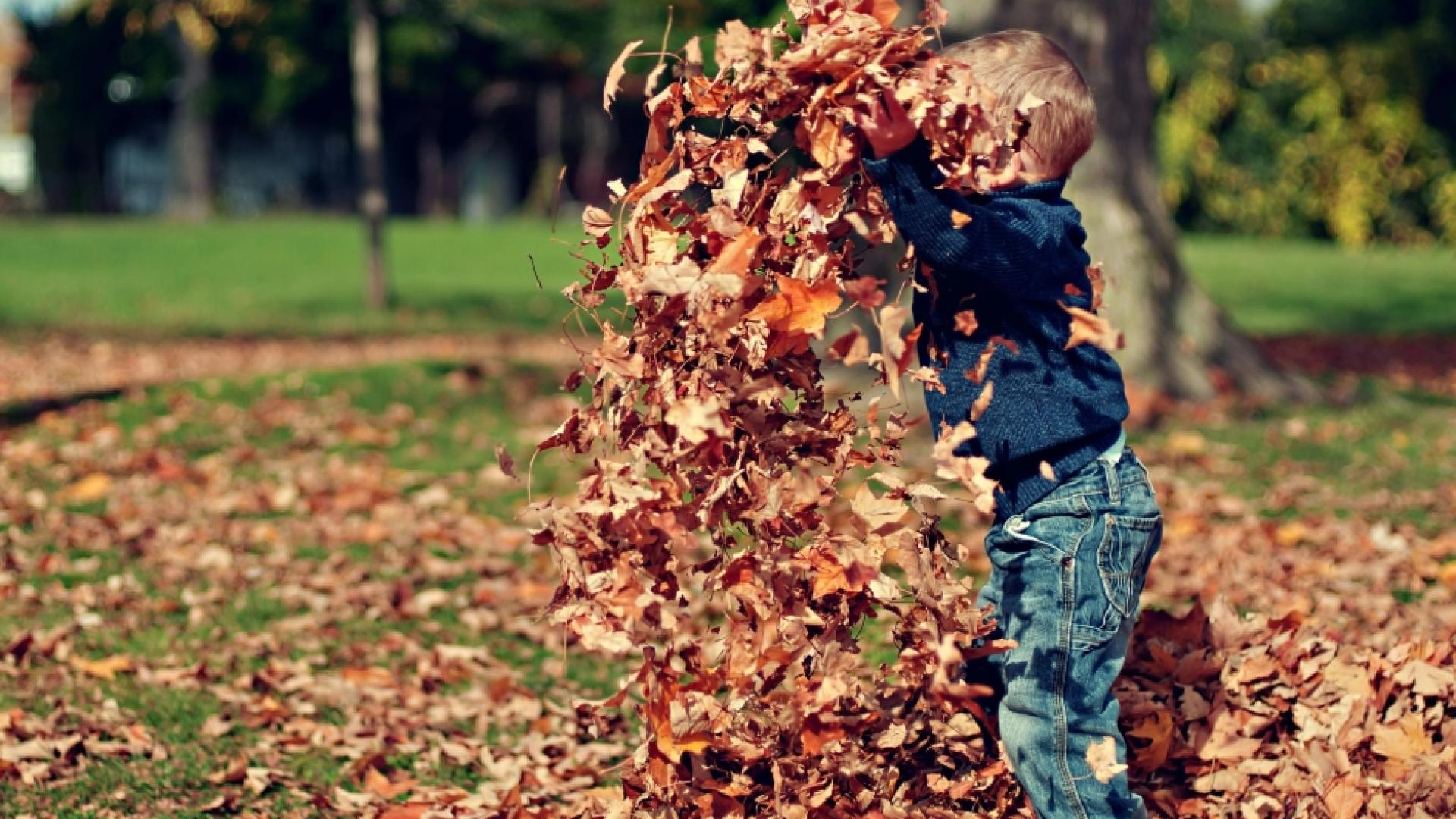 Children's Spaces, Places and Landscapes