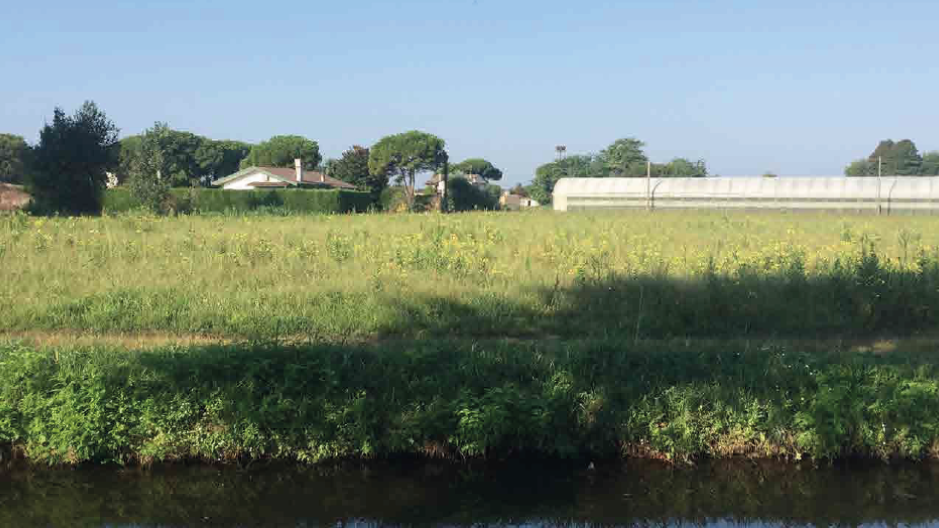 Dialoghi sul cibo