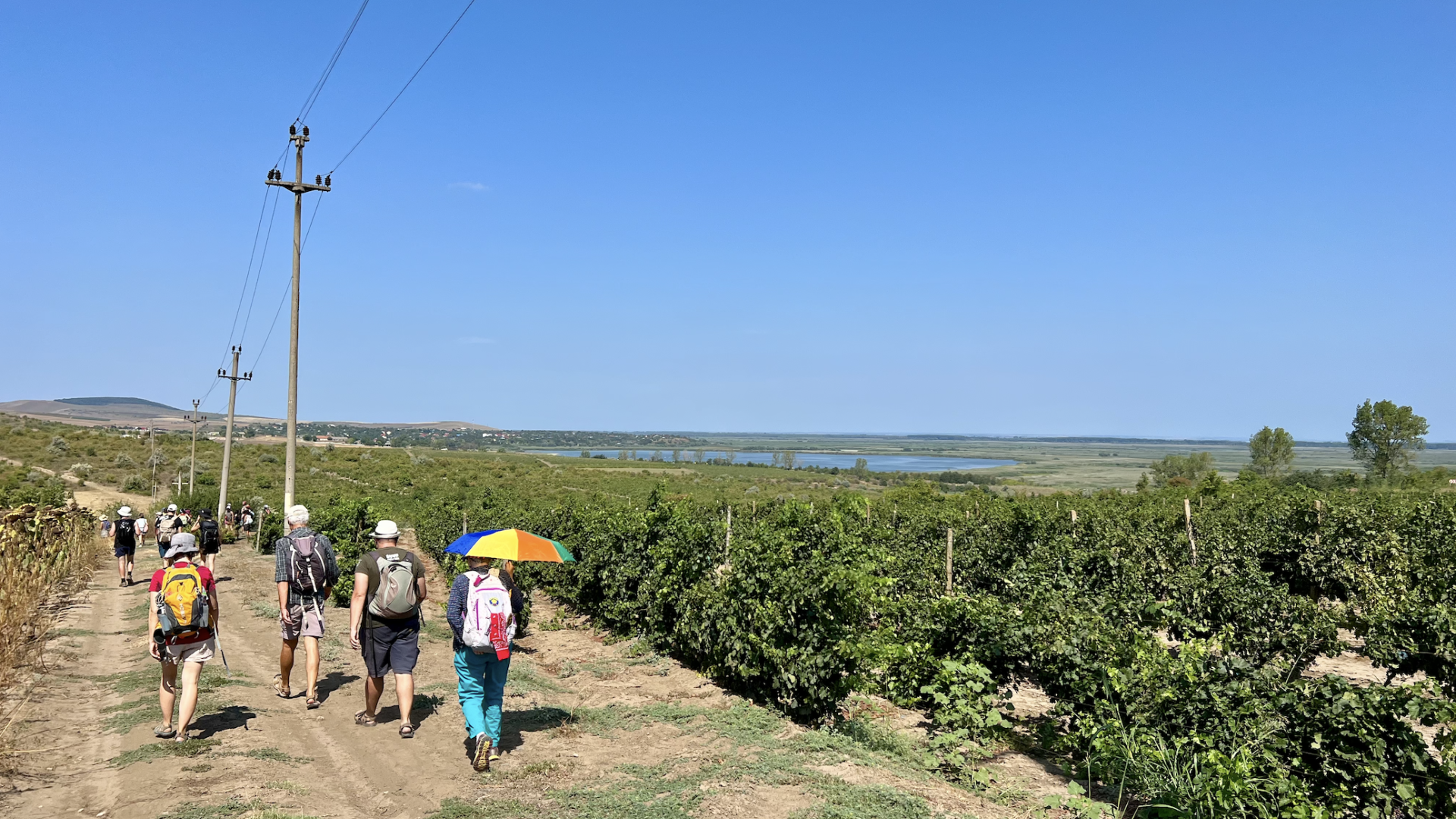 In cammino