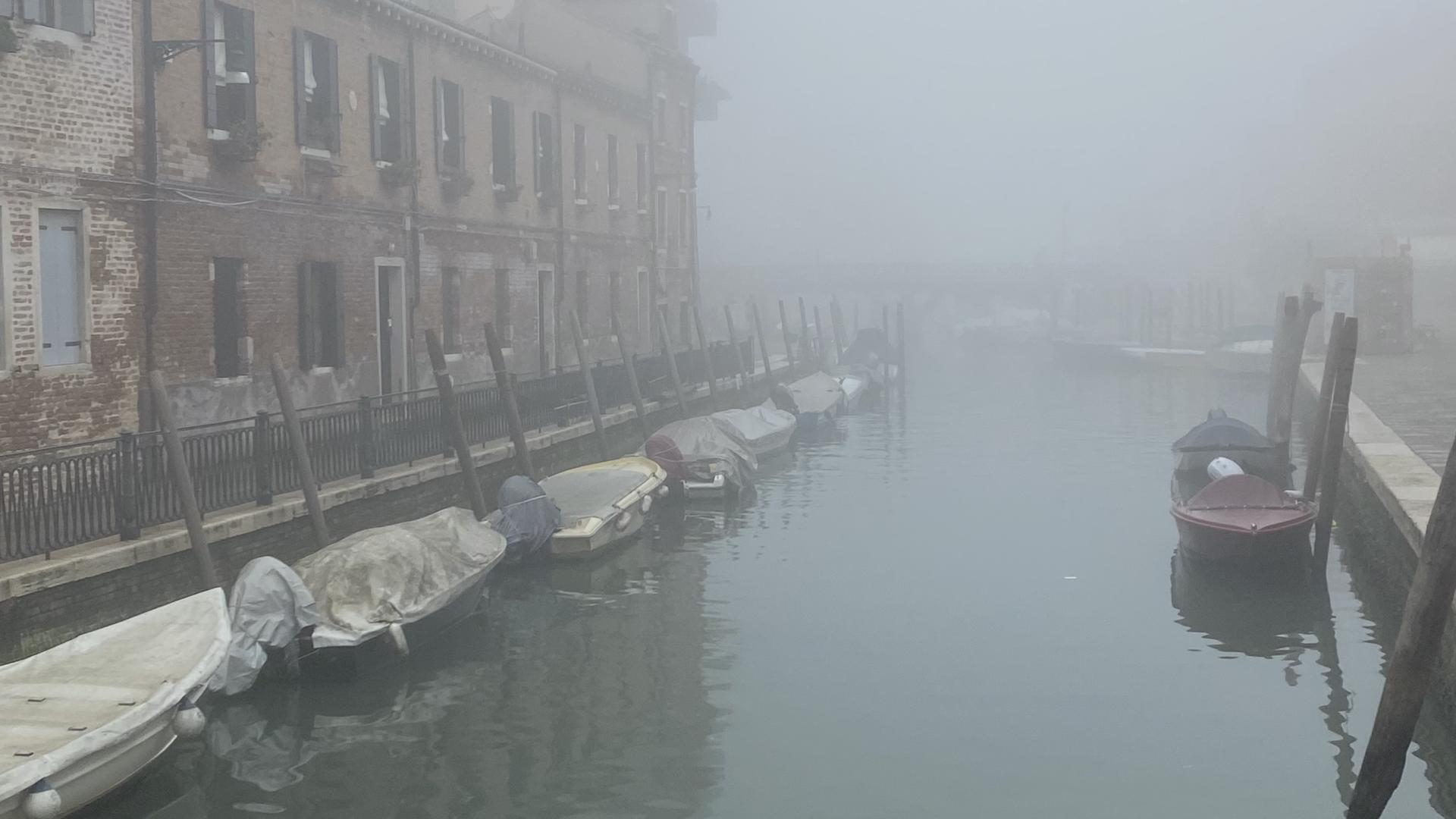 Elemental Venice