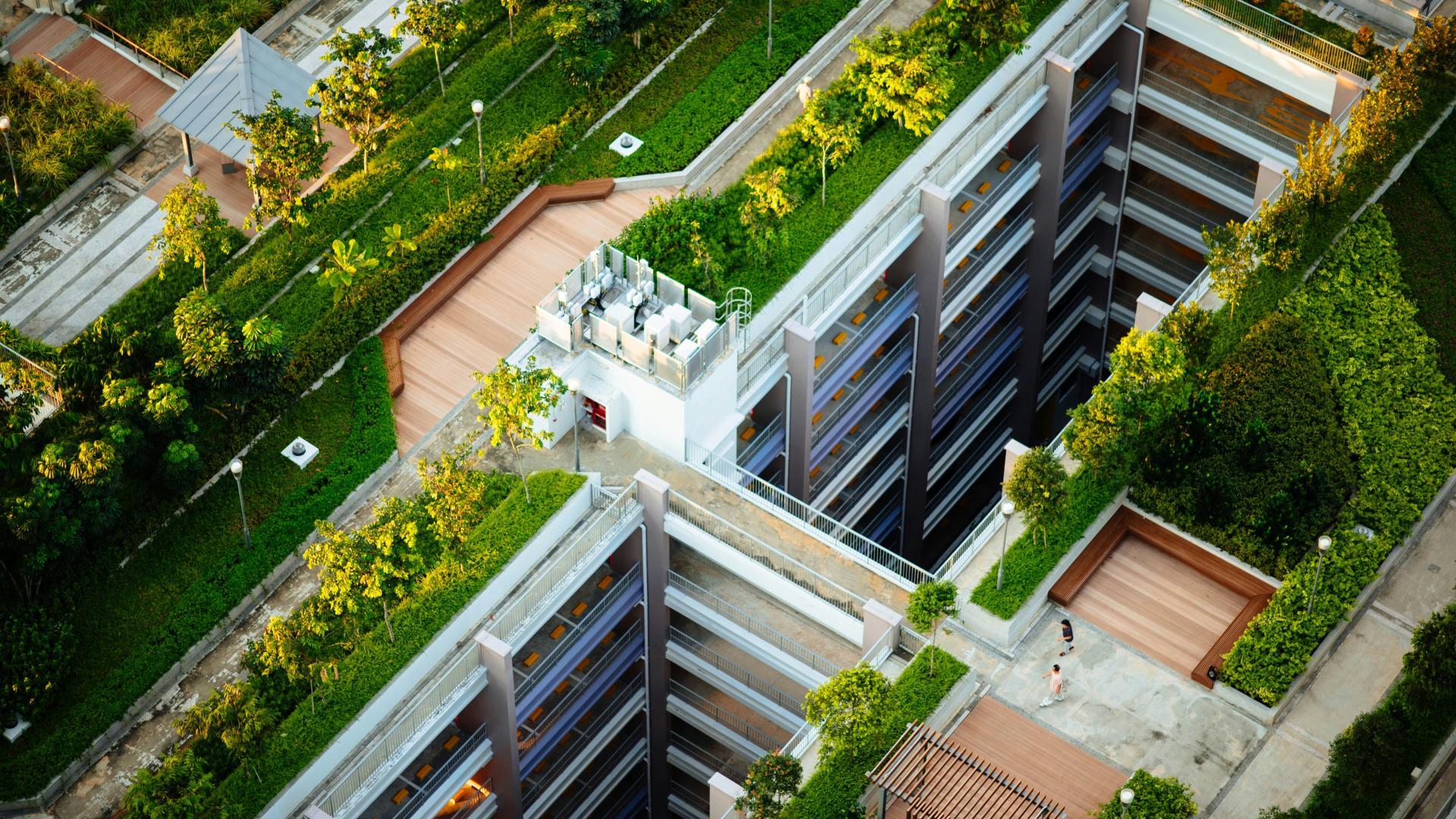 Climate change and cities