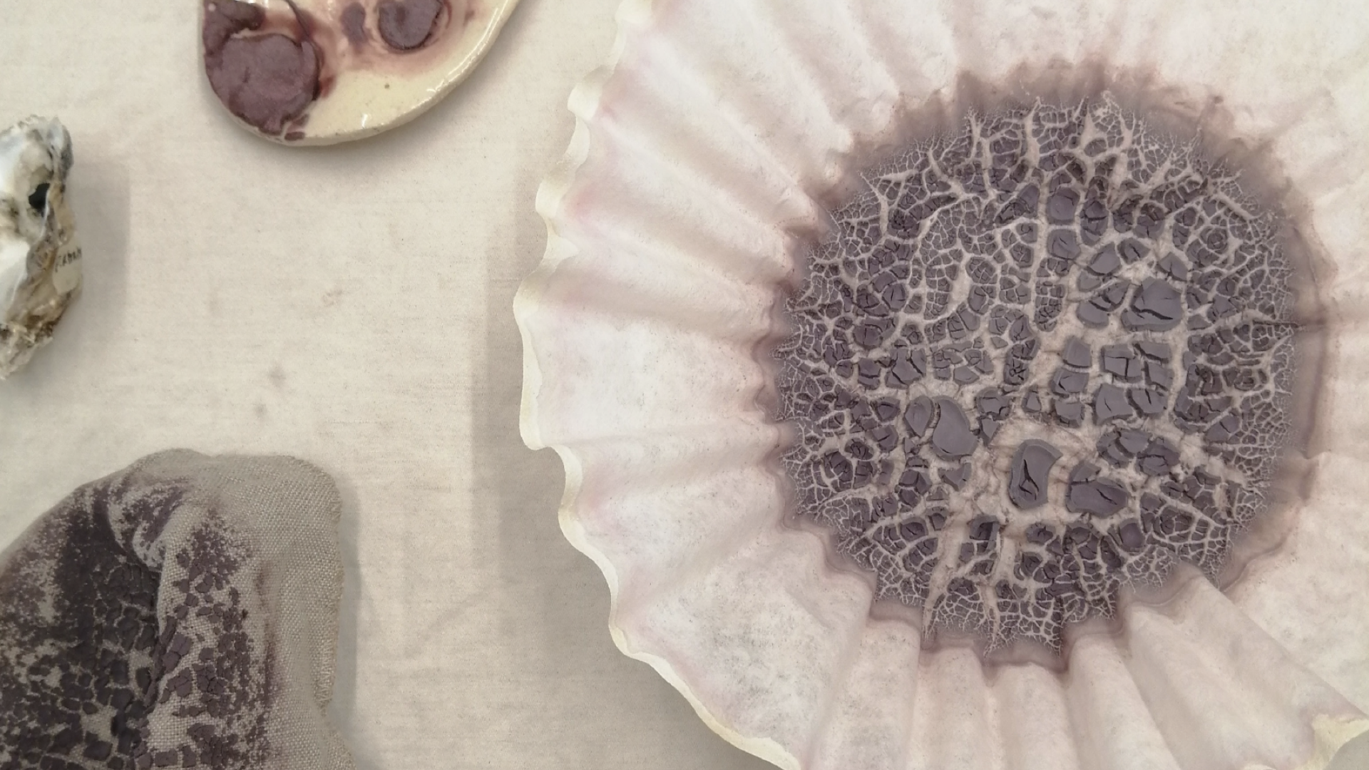 Textile journey into the fungal