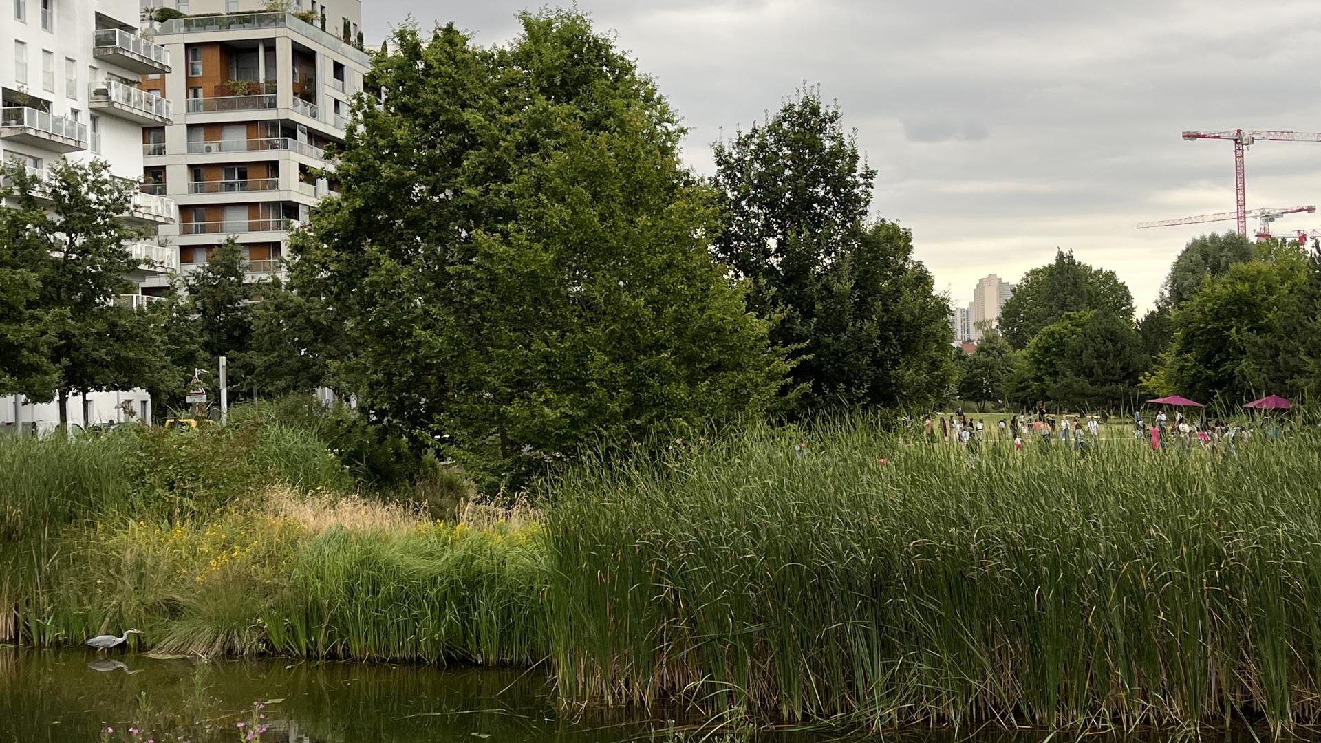 Climate change and cities