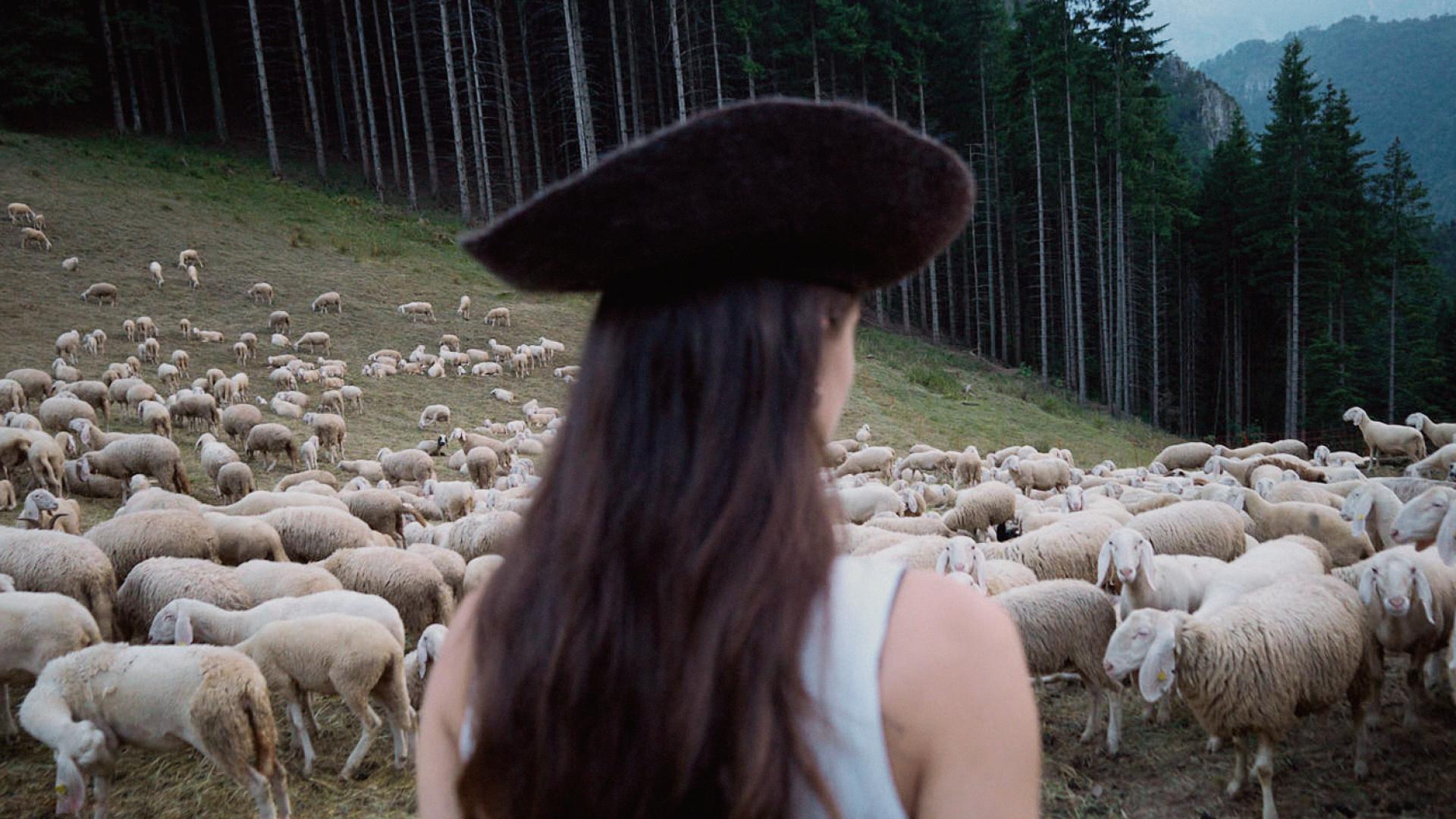Woolshed: A New Era for Alpine Wool