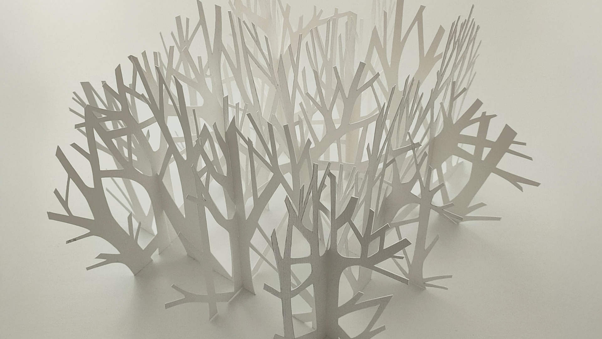 Unfolding paper stories