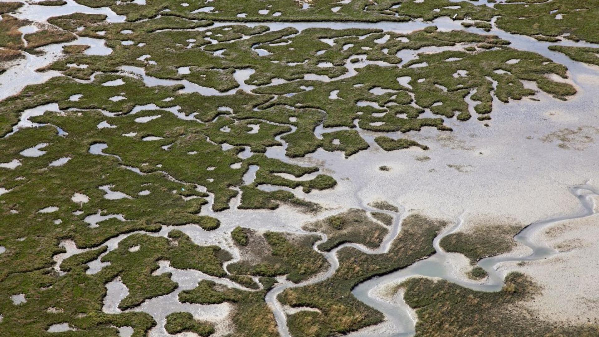 Bioregional ecology and economy of Sant'Erasmo